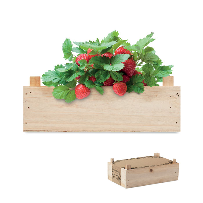 Aardbeien kweekset | Eco relatiegeschenk